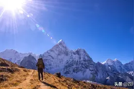 成年人最顶级的养生：运动（建议收藏）图片