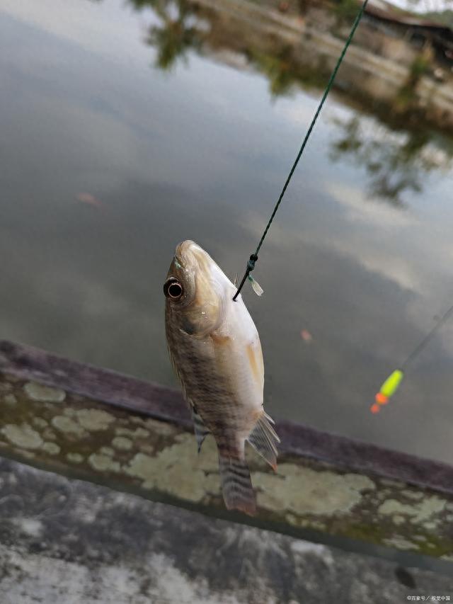 ����������ߡ����������֮·�ǰ���