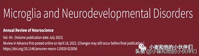 「权威解读」在神经发育中这种细胞类型至关重要