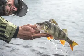 钓鱼用的钓鱼偏光镜有用吗？如何挑选合适的钓鱼眼镜呢图片