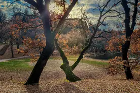 初中物理：电学知识点及公式总结！快保存图片