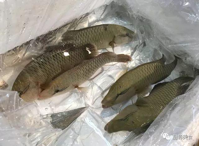 40头的花胶是几级 2025年花胶40头是什么意思?