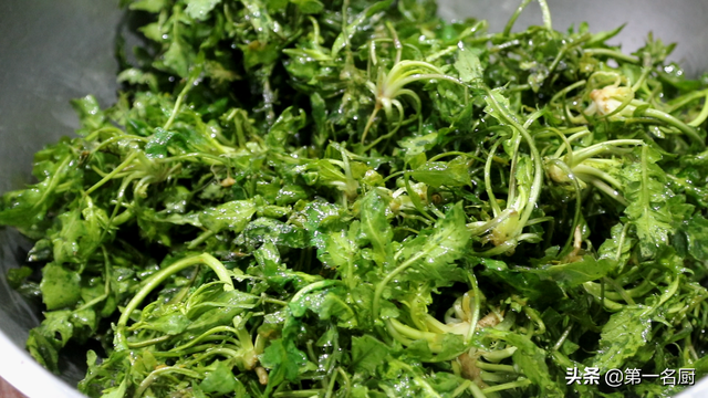 3鏈堟槸鍏昏倽鈥滈粍閲戞湡鈥濓紒鐗㈣鈥滃悆6鏍峰繉2鏍封€濓紝绉戝鍏绘姢瓒婂悆瓒婂仴搴? onerror=