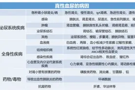 一文带你了解什么是血尿图片