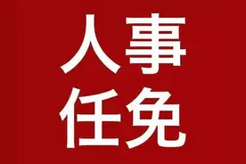 重要人事任免来了【2024.11.21】图片