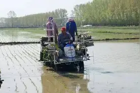 国内粮食安全不应是补贴农耕者，而是送多功能优质、优价农业机械图片