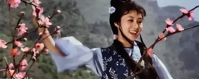 丁岚：曾火遍全国移居国外，回国经商成亿万富婆，58岁仍孤身一人