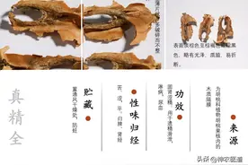 失眠的克星，隐藏在黑桃里的一味中药材图片