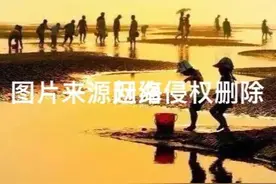 文蛤—天下第一鲜 至味南通（三）图片