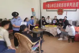 非法占用农用地 追悔莫及为时晚图片