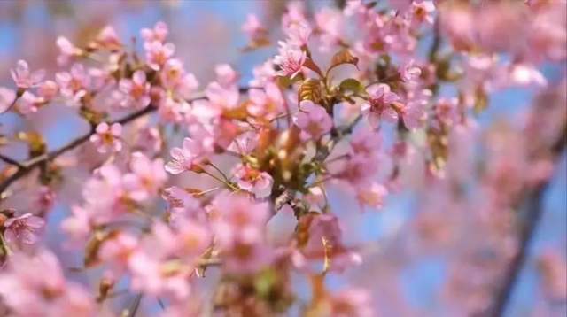 四川省民生研究会新媒体中心-官网