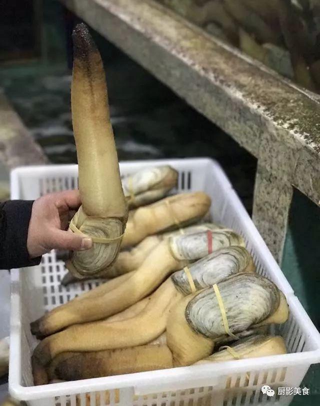 40头的花胶是几级 2025年花胶40头是什么意思?