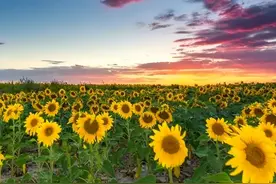 你好，我叫巴彦淖（nào）尔图片