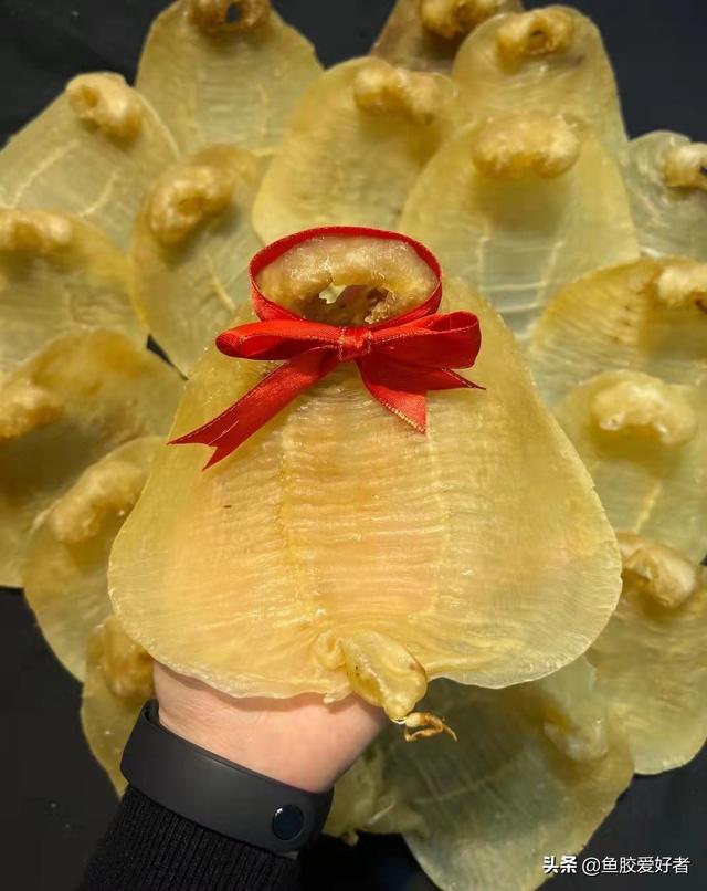 假鱼胶和真鱼胶的区别 假鱼胶炖出来的样子