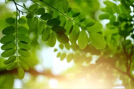 35句治愈人心的诗词，一字一句，皆是岁月静好图片