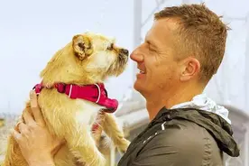 流浪狗戈壁：陪跑英国运动员，圈粉英国女王，它的故事感动无数人图片