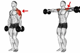 想练大三角肌中束，这六个细节，你必须知道图片