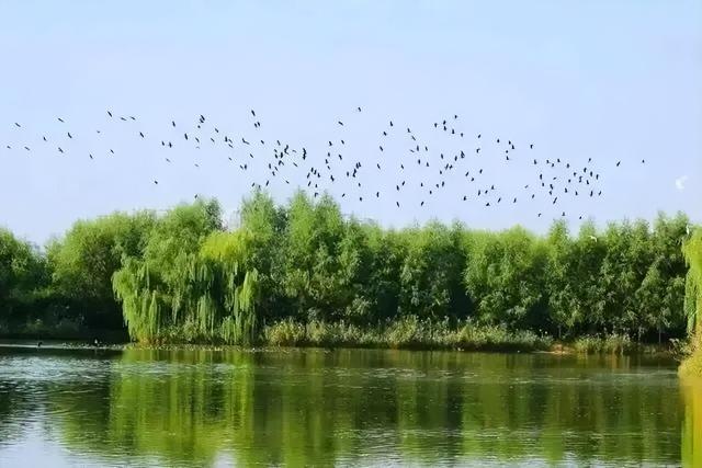 “五一”西安景区活动攻略 请查收