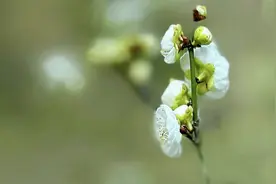 人生路上，让自己静下心来，才知道什么是人间值得图片