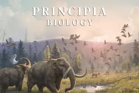 发现破纪录的古老DNA，揭开了已消失的世界图片