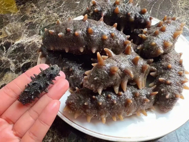 什么样的海参好 2026年什么样的海参好吃又有营养价值