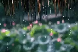 夏天的雨，落在了诗词里，美到极致！图片