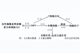2022高考生物第二次模拟试题+答案，高一高二高三借鉴电子版图片