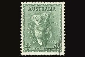 郑启五爱译随笔：“考拉”译名的来龙去脉图片