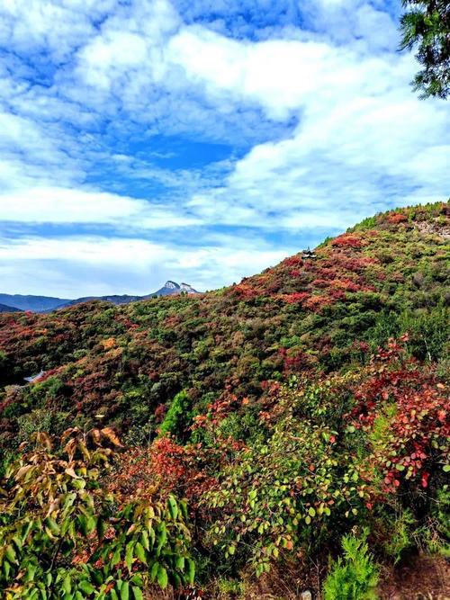 亿年地貌配秋红，陕南襄王沟炸场，此生必去无遗憾！