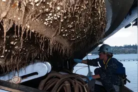 每次航线结束能刮下十多吨海鲜，都到海鲜市场了？这种海鲜吃不得图片