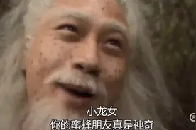 被蜜蜂蜇却很舒服？无痛蜂疗以毒扶正，类风湿性关节炎克星来了图片