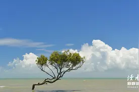 《人民日报》：一个人没出息的9个表现，希望你一个也没有图片