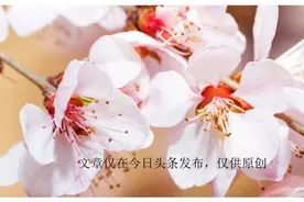 “鲜花屋里放，花旺人不旺”古人的告诫之语，否则养花不成反伤人图片