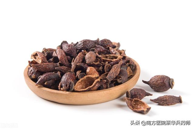 一味上能健脾止泻，中能补肾止遗，下能涩膀胱缩尿的中药｜金樱子