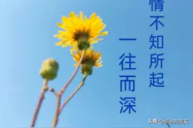 情不知所起，一往而深。读那些流传千古的情书，诗词图片