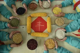 营养素之碳水化合物图片