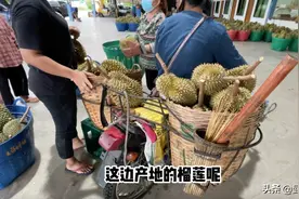 驱车7小时，在泰国深山里找到的奇特榴莲，连泰国人都抢着吃图片