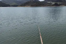 水库不好钓鱼那是因为你不懂水库鱼，掌握这些规律你也能鱼获满满图片