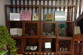 关于厦大教授赵燕菁：建议养老金领取额度与子女数量挂钩的思考图片