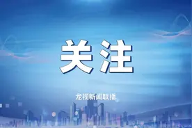 @黑龙江高考生，你关心的网上志愿填报须知来了↘图片