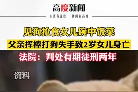 江西赣州：父亲挥棒打狗失手致2岁女儿身亡，被判刑两年图片