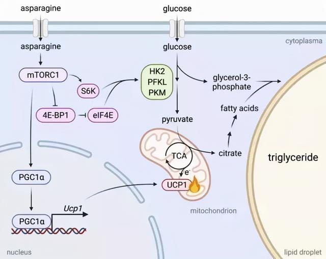 复旦上医11月科研成果一览