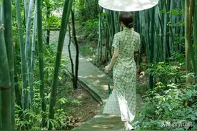无用竹木用什么农药可以根除？2个“黄金组合”可供选择参考图片