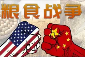 这场被遗忘的美国垄断的粮食战争：中国用20年打赢资本！图片