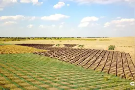 陶永明：默默守护绿色天然屏障的治沙人图片