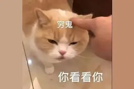 再来一波表情包 关注我更多搞笑表情包哦图片