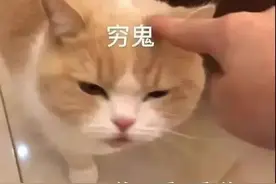 再来一波表情包 关注我更多搞笑表情包哦图片