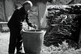 东北60—70年代农村真实写照，过大年，杀年猪，小山村的幸福时光图片