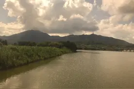 深圳最高山之二峰，小梧桐和大梧桐，有什么区别？图片