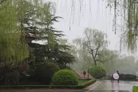 “清明不明荒年凶兆”，清明下雨要避凶，老祖宗：这3件事要记牢图片